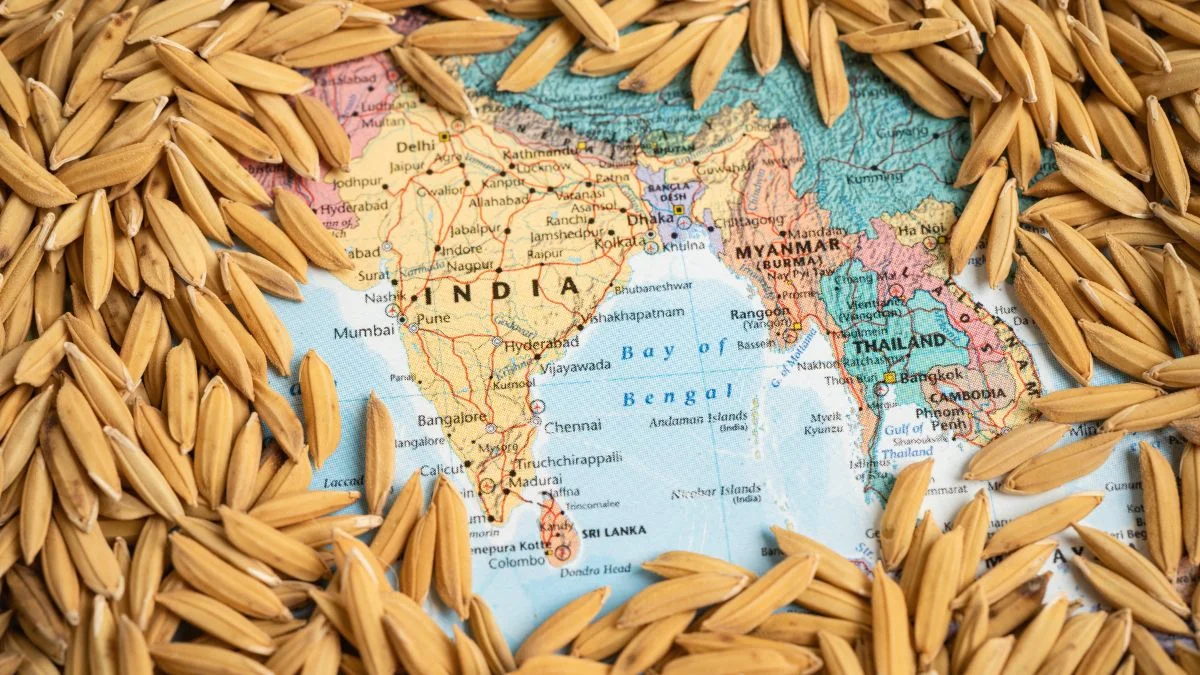 Global Impact Of India S Rice Export Ban