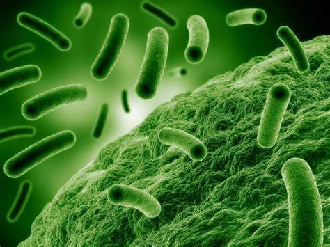 ARTICLE ON ANTIMICROBIAL RESISTANCE (AMR)