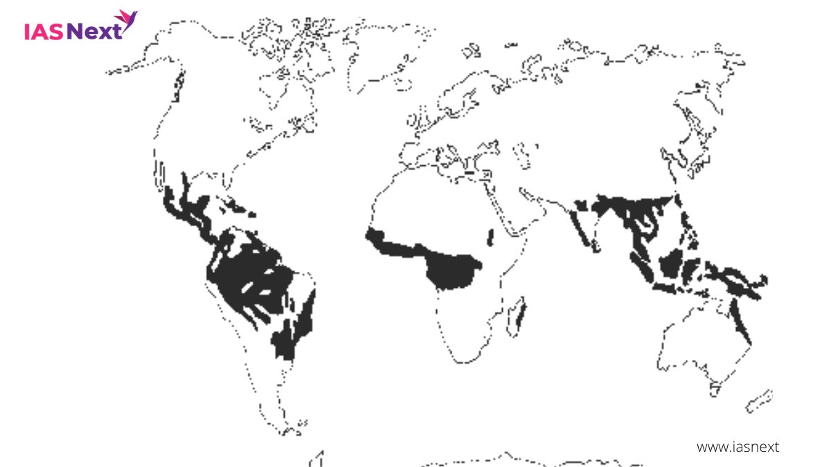 SHIFTING CULTIVATION