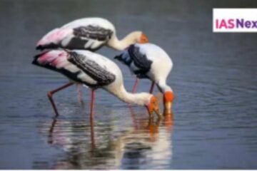 Udhwa Bird Sanctuary : Recently, Jharkhand’s Udhwa Bird Sanctuary was in news with the ongoing speculations of it getting the prestigious Ramsar Site status.