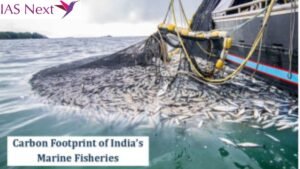 India’s marine fisheries produced 1.32 tonnes of carbon dioxide (CO2) to produce one kilogram of fish in 2016, lower than the global average of 2 tonnes.