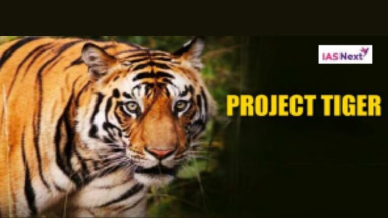 project tiger case study