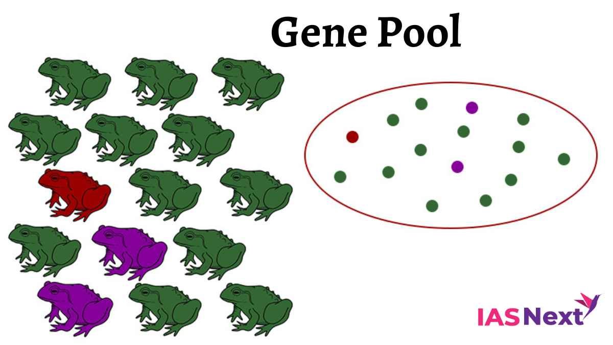 The gene pool of a particular species means the set of the diversity of the entire genes present in that population is...