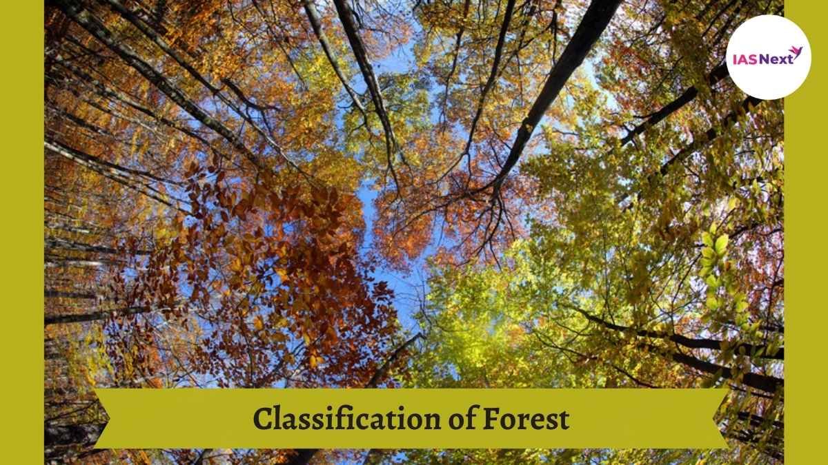 Classification of forest : A great variety of forests are found in different parts of India due to unequal distribution of rainfall..