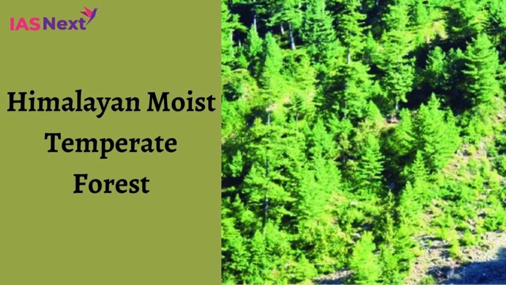 Himalayan Moist Temperate Forest