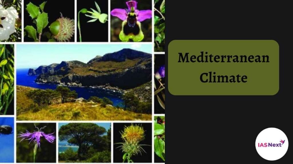 mediterranean-climate