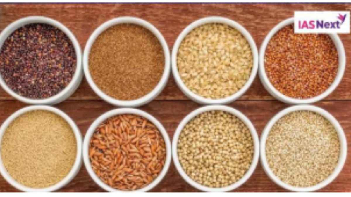 Grain-processing of millets raises new concerns in the consumption of millets.