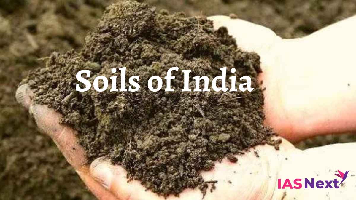 Major Types Of Soil In India And Their Characteristics 40 OFF