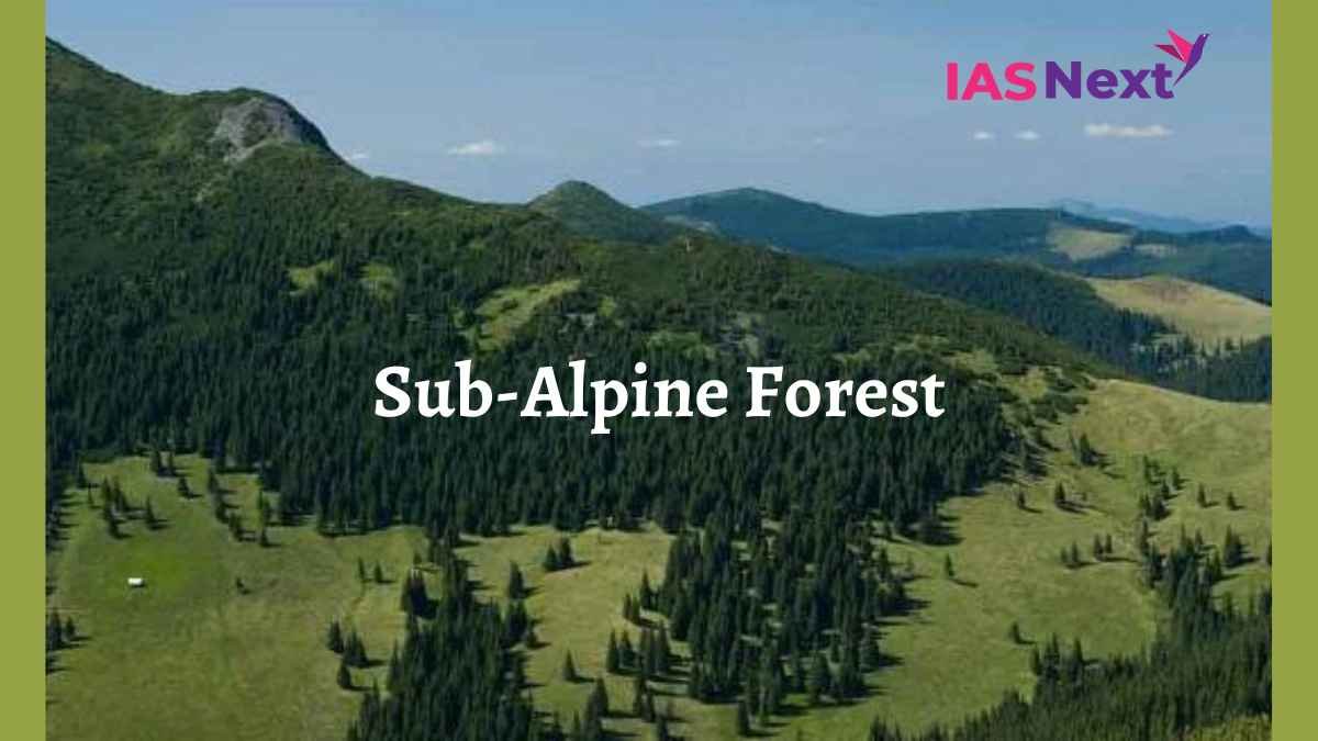 Sub-alpine Forest extend from Kashmir to Arunachal Pradesh between 2900 to 3500 meters. In the Western Himalayas...
