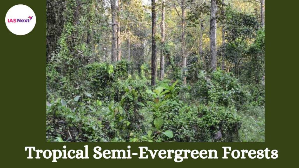 Tropical SemiEvergreen Forestsupsc Archives IAS NEXT 1 BEST IAS