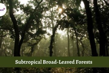 Subtropical Broad-leaved Forests are generally found at heights ranging from 1000 to 2000 meters in the Eastern Himalayas which....