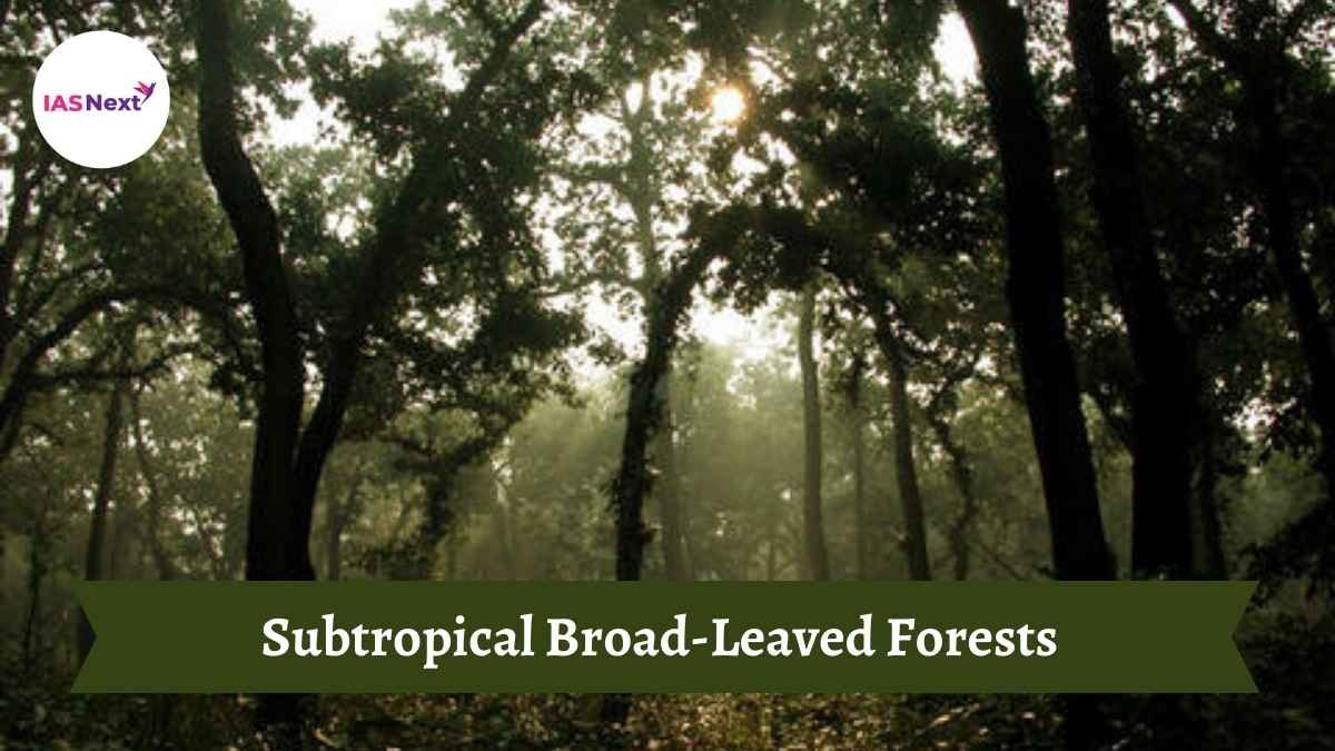 Subtropical Broad-leaved Forests are generally found at heights ranging from 1000 to 2000 meters in the Eastern Himalayas which....