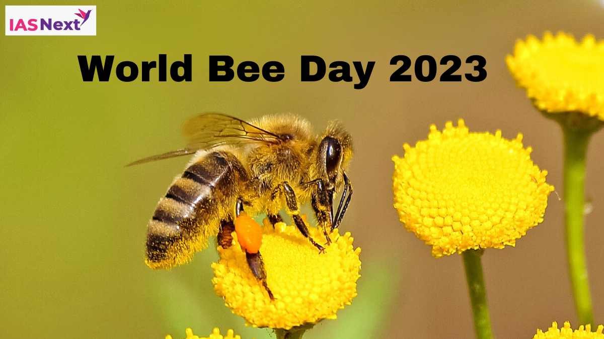 World Bee Day 2023  