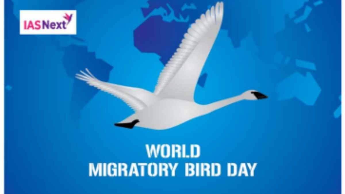 World Migratory Bird Day 2023 was observed on 13 May this year with an aim to focus on the conservation of migratory birds.