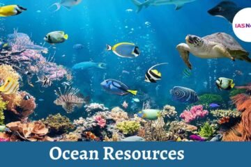 The Ocean Resource is one of Earth’s most valuable natural resources. It provides food in the form of fish and shellfish....