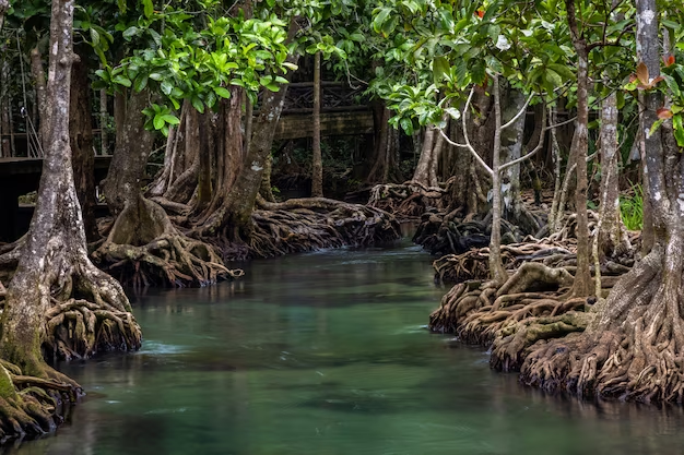 Littoral and Swamp Forests