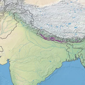 Subtropical Broad-Leaved Forests