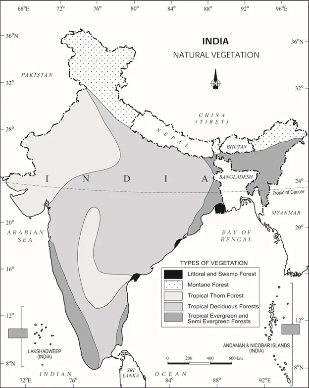 Montane Wet Temperate Forests