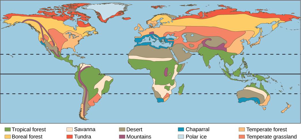 Biomes of the World