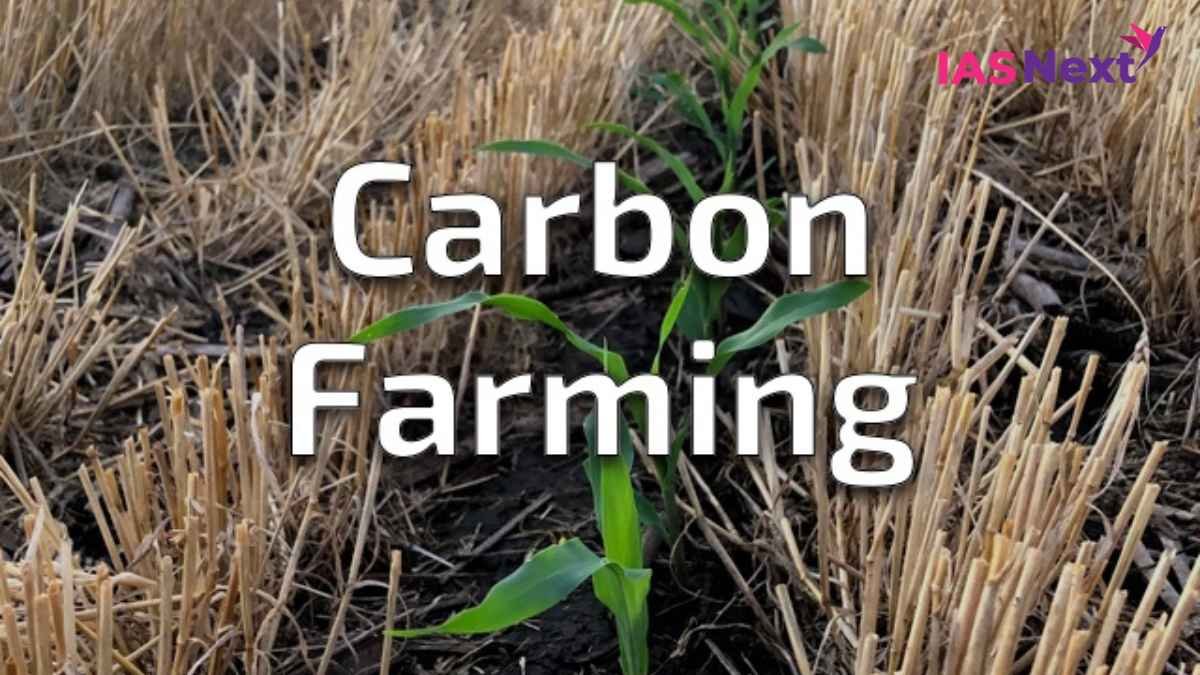 Carbon farming (carbon sequestration) is a system of agricultural management that helps the land store more carbon...