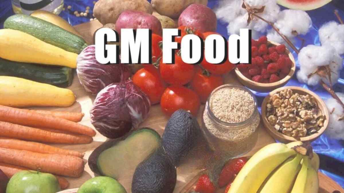 Genetically modified (GM) food is viewed as a controversial as well as a science-based solution for a sustainable global food system.