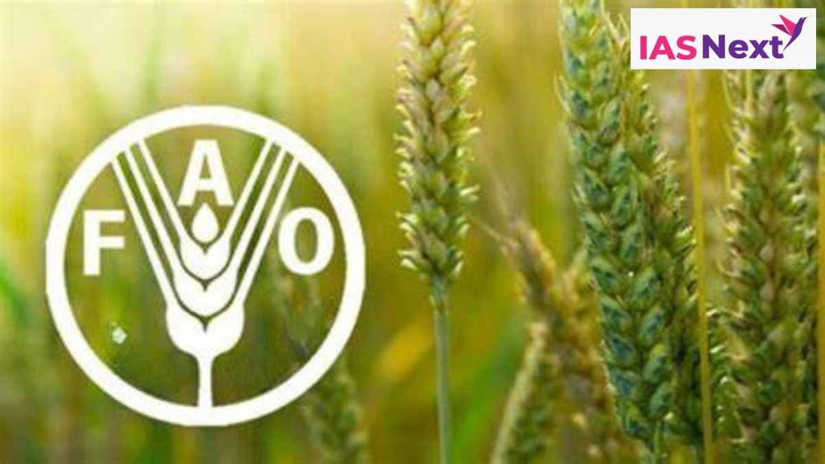 According to the Food and Agriculture Organization’s (FAO) new report, The Future of Food and Agriculture.