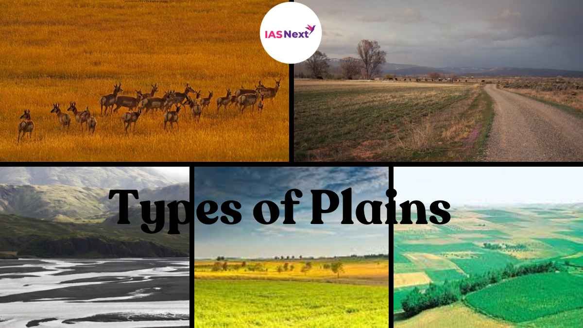 A plain is a flat area of land in geography that typically has little variation in elevation and is mostly devoid of trees. Lowlands in...