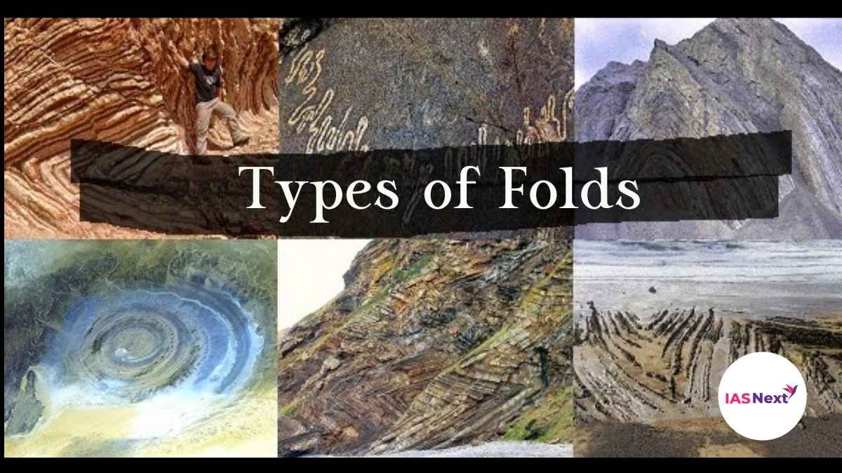 types-of-folds