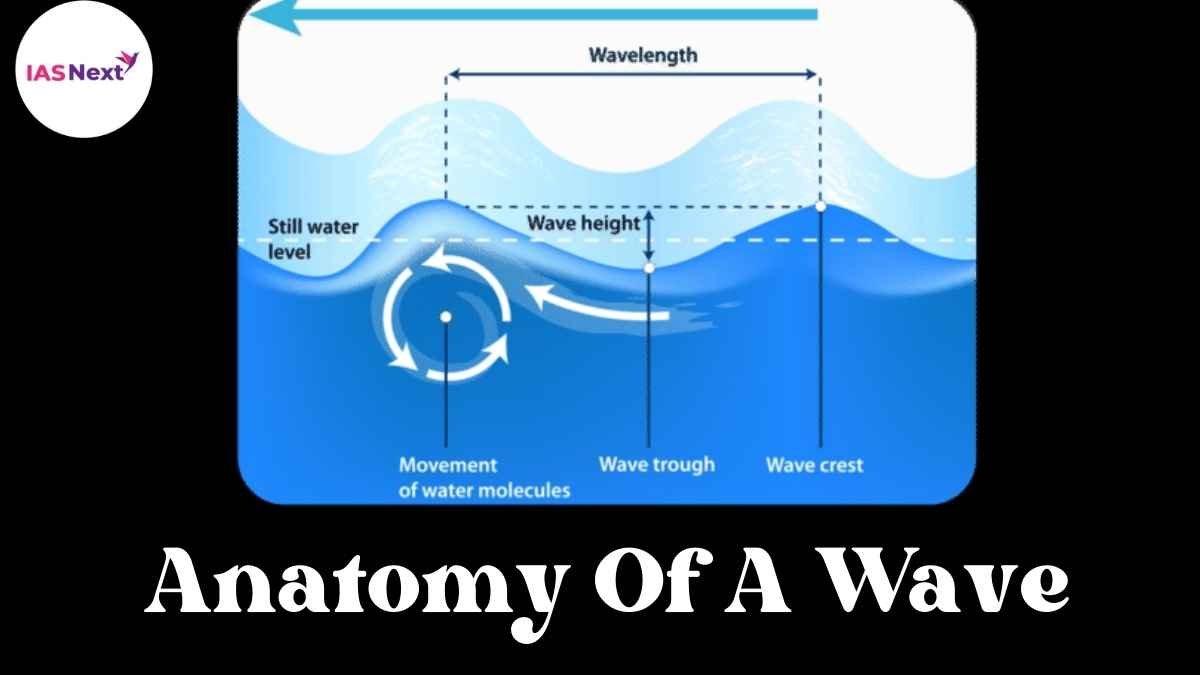 Anatomy Of A Wave