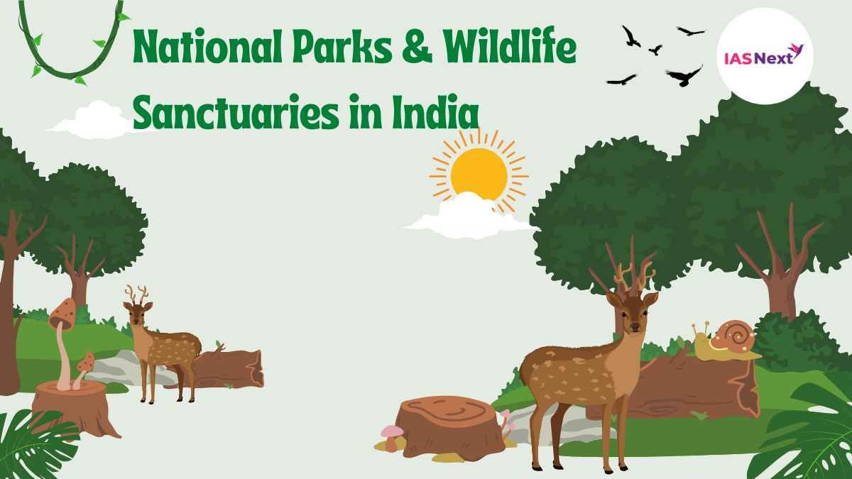 National Parks & Wildlife Sanctuaries in India