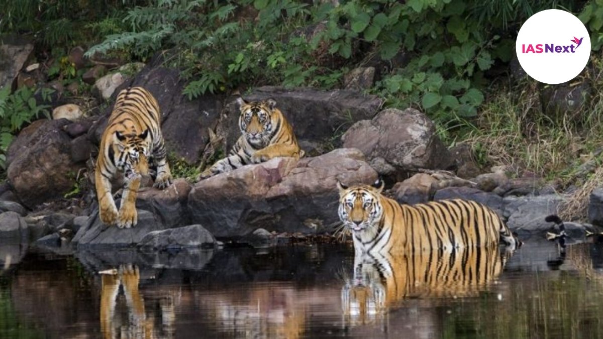 Panna National Park is a national park located in Panna and Chhatarpur districts of MP in India. Panna Tiger Reserve, Chhatarpur (MP)