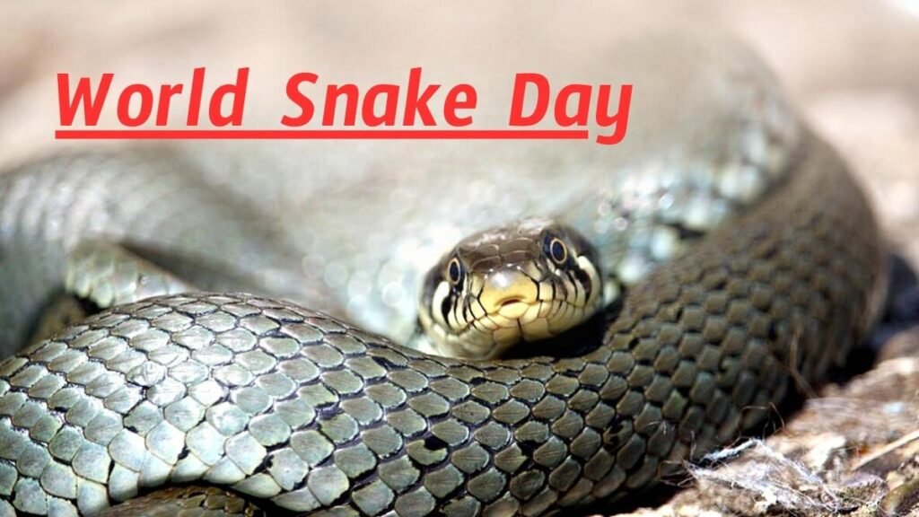 World Snake Day: 16 July