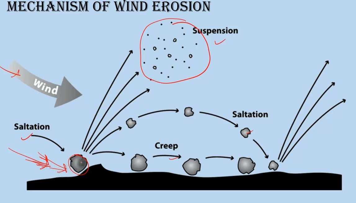 Stages Of Erosion Process By Wind
