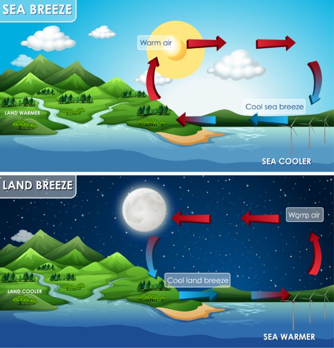 Periodic Winds And Its Effects