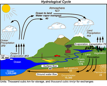 Factors Affecting the Salinity of Ocean Water