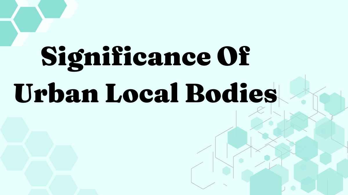 significance-of-urban-local-bodies