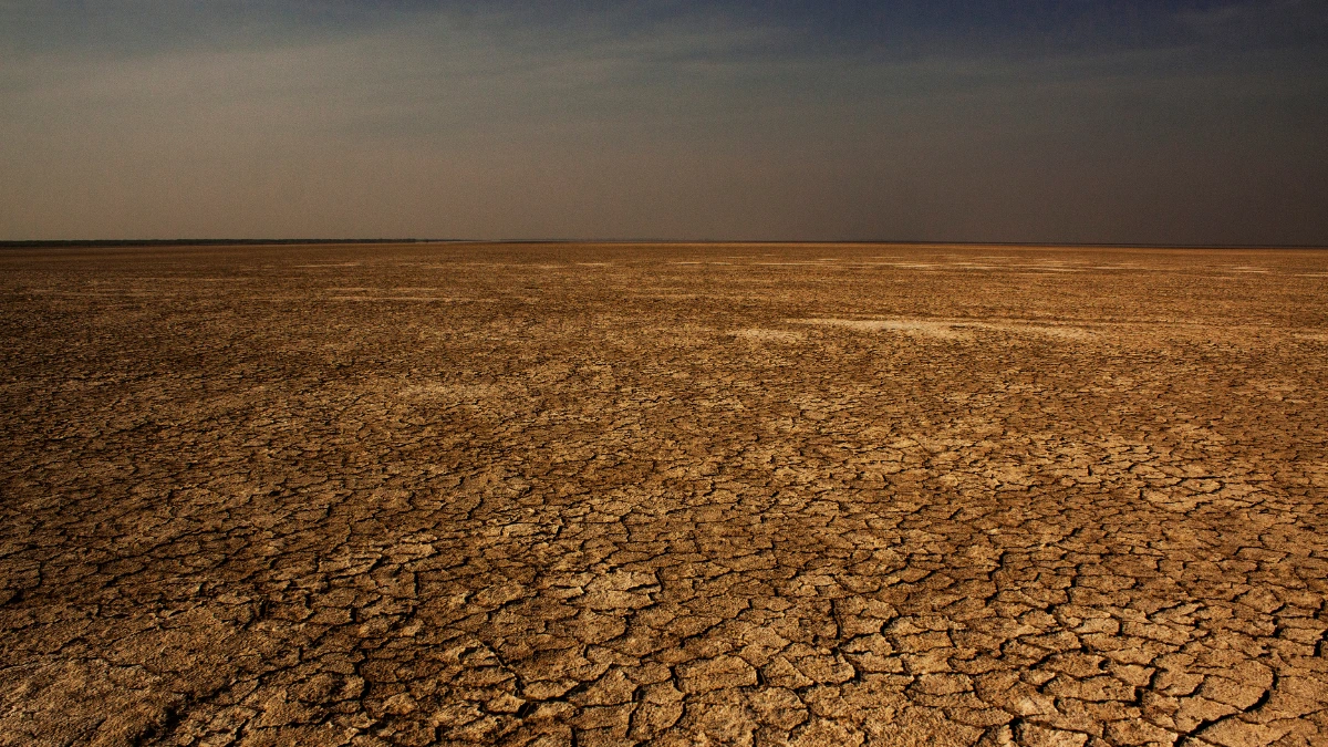 Drought in India: August 2023 Records Lowest Rainfall in 123 Years