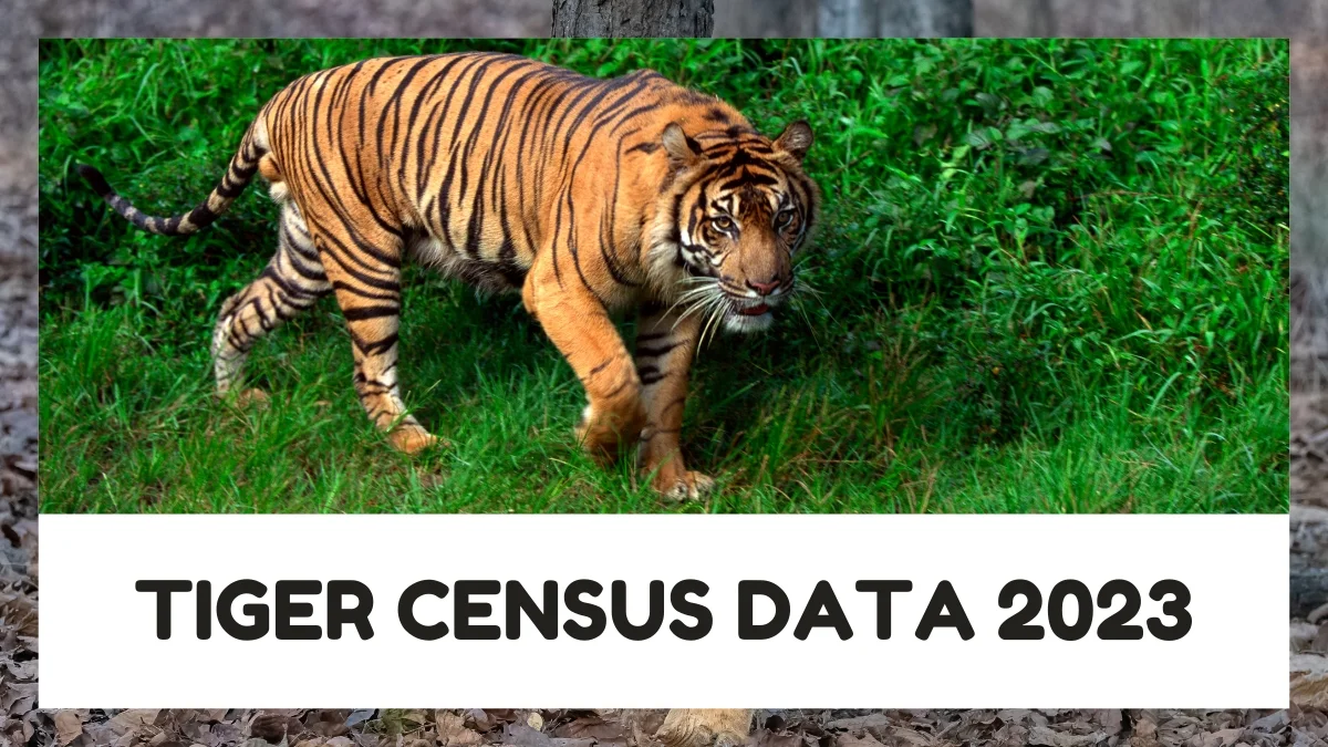 Tiger Census Data 2023 reveals India's Tiger Population Rises