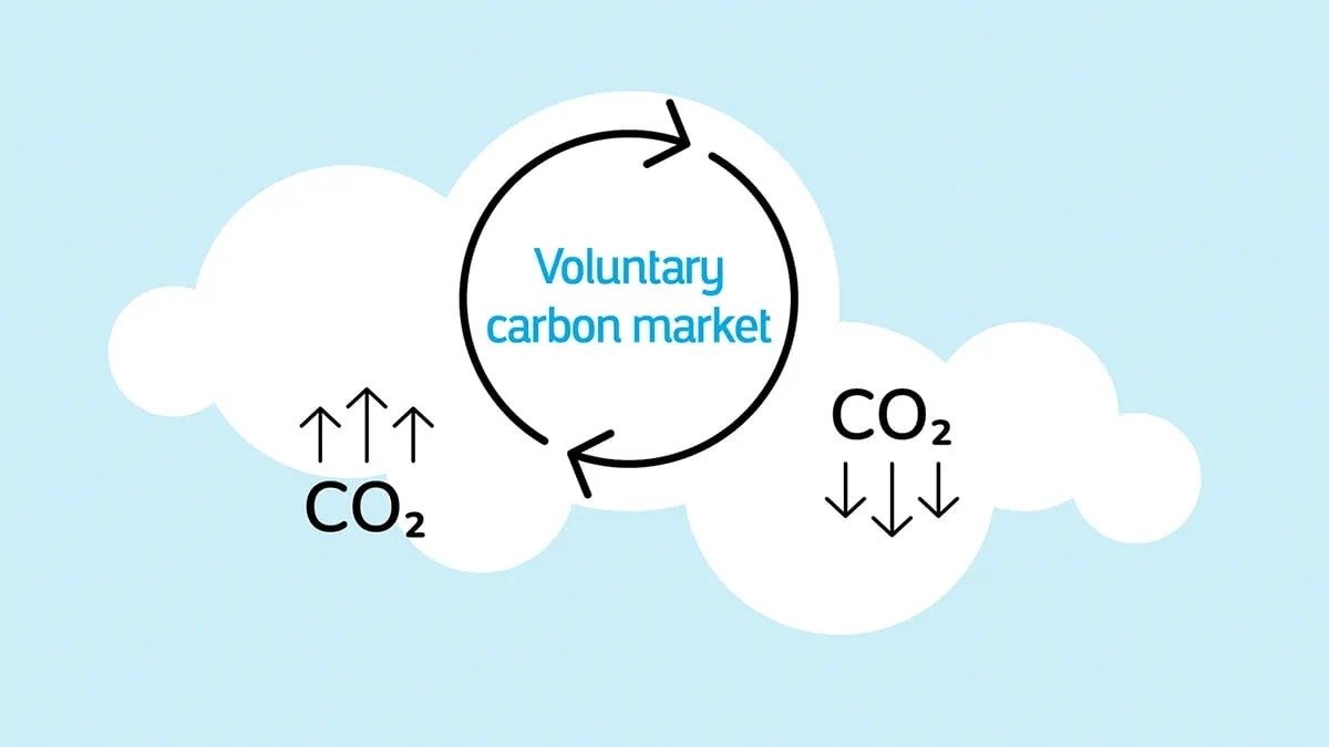 Voluntary carbon Market