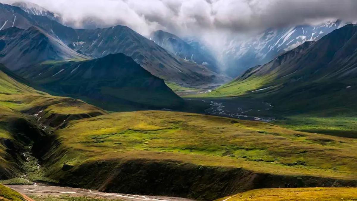 Alpine Tundra Biome