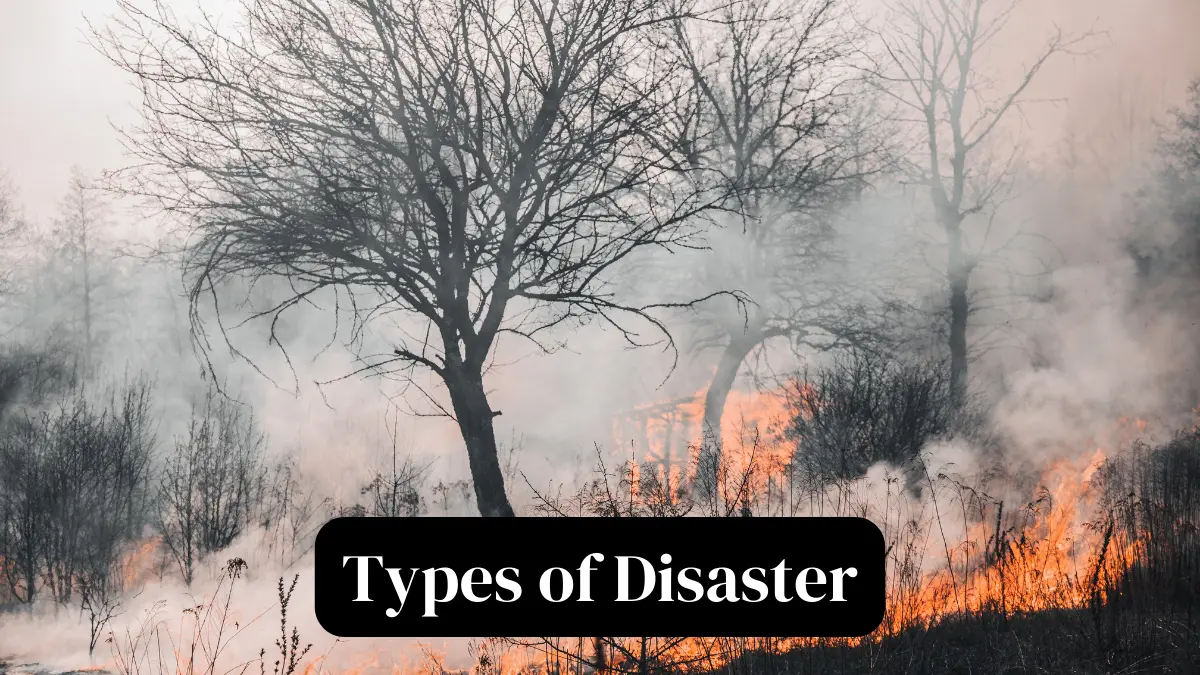 Types Of Disaster