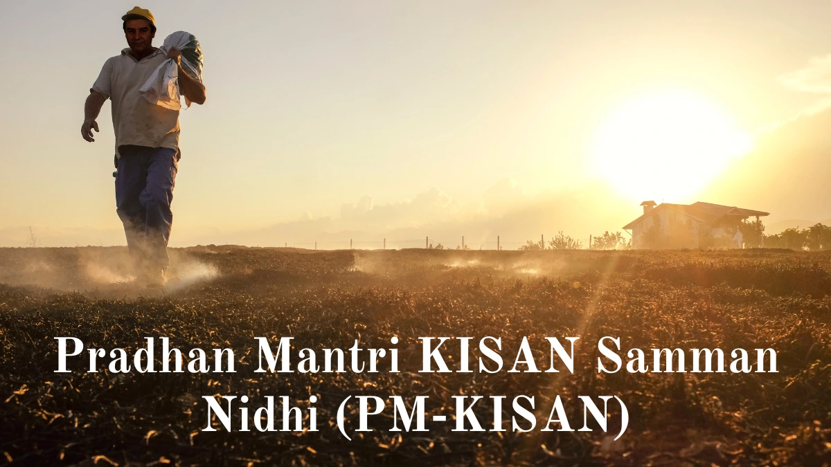 Pradhan Mantri Kisan Samman Nidhi Pm Kisan