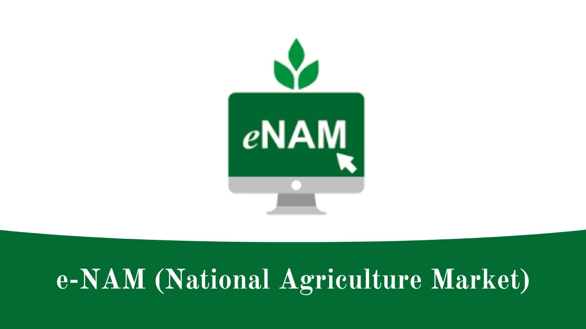 e-NAM platform onboards 1,000 mandis in 21 states/UTs: Centre - The  Economic Times